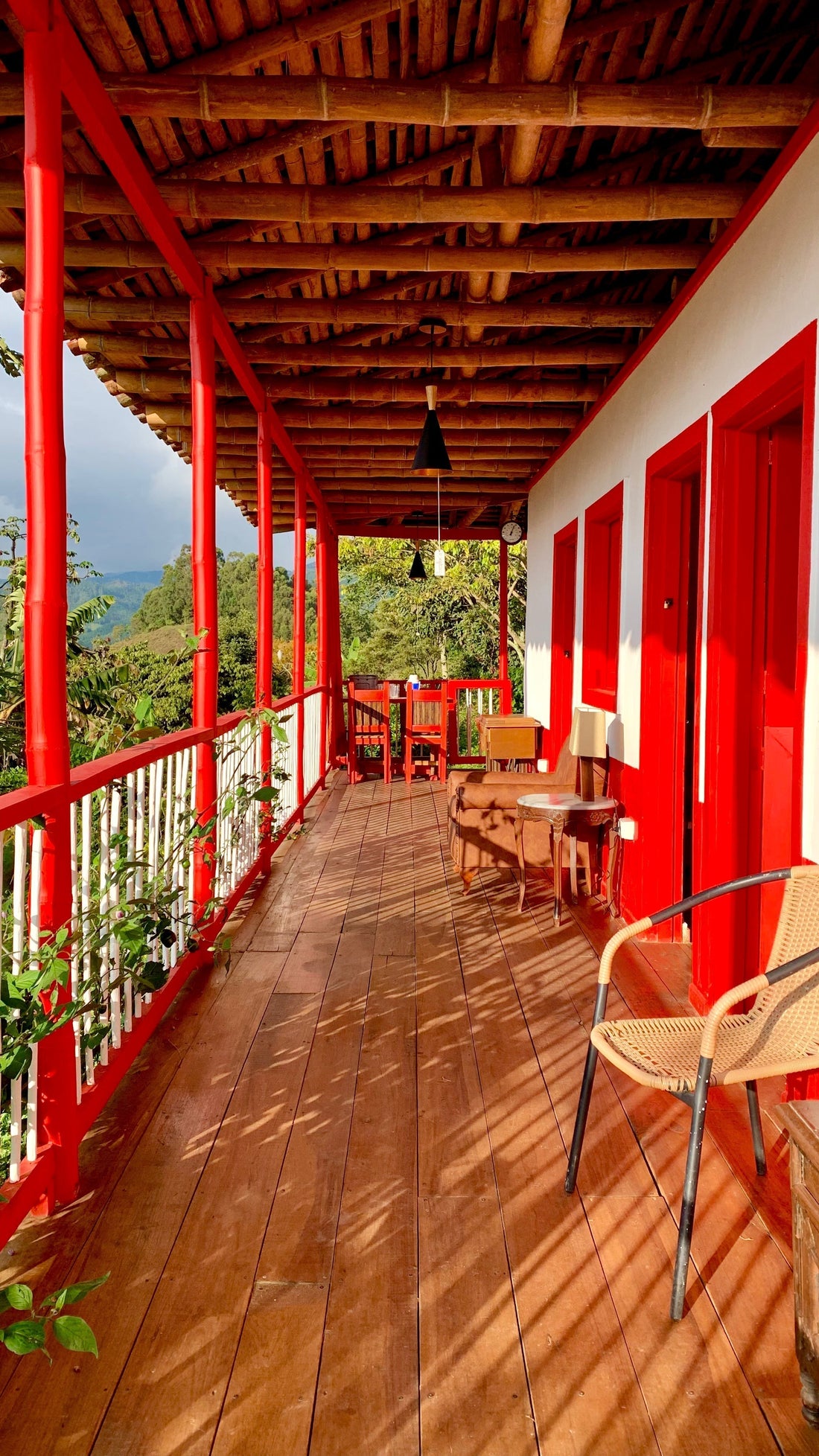Why visit a coffee farm in Colombia? Let me tell you a story…