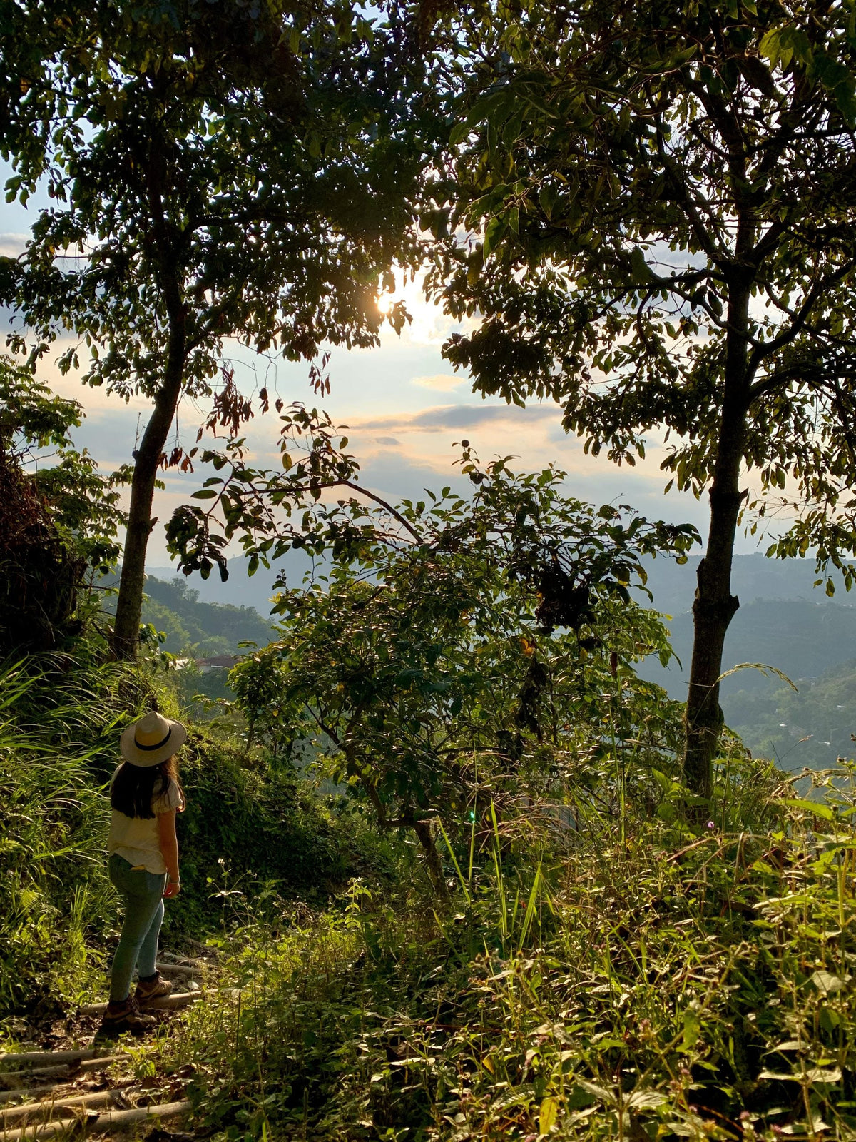 caminata-bosque.jpg