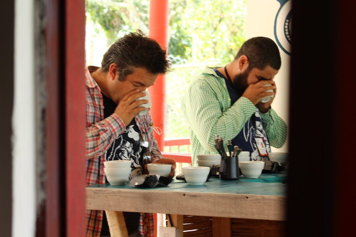 catacion.jpg